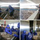 희한수산 KBS