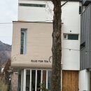 1848 | 창원 가로수길 카페 차 전문 엘리펀티 내돈내산