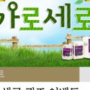 가로세로 이미지