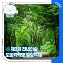 도동문화마을협동조합 | 🌲제3회 천년의숲 도동측백향 힐링축제
