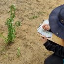 월촌초등학교 이미지