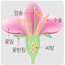 남대전푸른문고 | 대전세종 아이와 실내 가볼만한 곳: 국립세종수목원 (설 연휴 무료 개방)