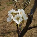 영성농장 이미지