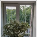 낭만의거리 이미지