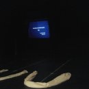 소극장 존 이미지