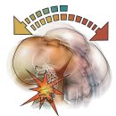 바우한의원 이미지