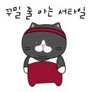 모던아울렛 이미지