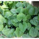 맷돌농장 이미지