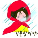 얼큰이닭발 - 서구 | 얼큰이닭발
