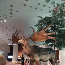 전곡 선사박물관 이미지