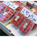 과일이좋은세상