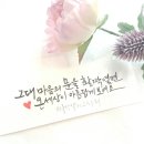 빛깔캘리그라피 이미지