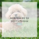 범석영치과의원 네이버블로그