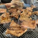 고고돼지 이미지