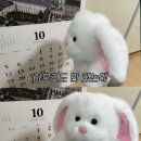 미음이응