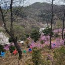 상림수목원 네이버블로그