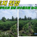 관통 교차로 2 Daum카페