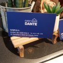 단테하우스 이미지