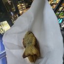 오밀네일 이미지