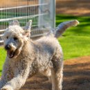 시바별장 이미지