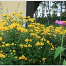 가조소림사 이미지