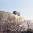호텔봄날 이미지