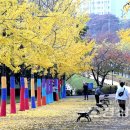 은행공원 이미지