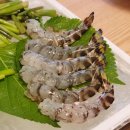 오도리 네이버블로그