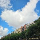 덕문농장 | [스페인] 말라가 - Day 6