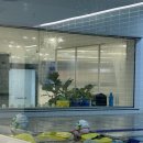 스윔21(관양점) 이미지