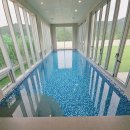 로이스애견풀빌라 이미지