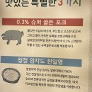 원조구남집