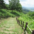 보은 삼년산성 이미지