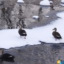머내과학 공원 이미지