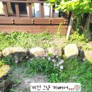 카페803 - 46630 | 카페803
