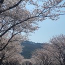 중담1주차장 이미지