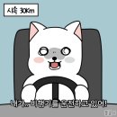 맹드라이브운전면허 - 부천시 원미구 부일로 336 | 맹드라이브운전면허