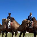 엘스약국 이미지