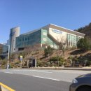 용운국제수영장 이미지