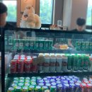 푼타하우스 이미지