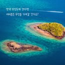 무인도에서 필요한 딱 한 가지 / 로렌초 콜텔라치 / 알리스 우르간리앙 / 이세진 /국민서관 2025.08.25 이미지