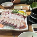 다마시떼 이미지