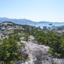 제황산모노레일 이미지