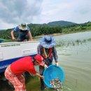 공공용1 이미지