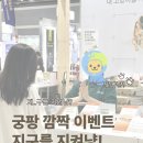 [제33회 궁디팡팡] 서울 aT센터 궁디팡팡 캣페스타 알모네이쳐 현장 스케치, 후기