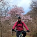 용면사무소 | [담양군 용면, 순창군 복흥면] 과녁바위산, 비네산, 치재산, 추월산 임도 라이딩 후기