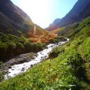 자연의 노래 이미지