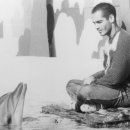 그랑블루 이미지