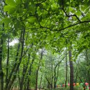 보현사목조여래좌상 | 산사기행 54_경북김천 황악산직지사