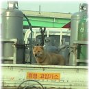 고강가스 이미지